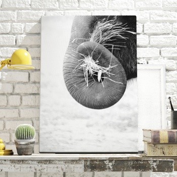 Canvastaulu Elephant trunk