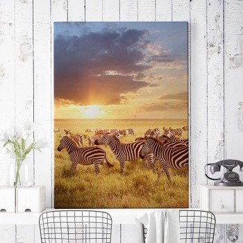 Zebras in sunset