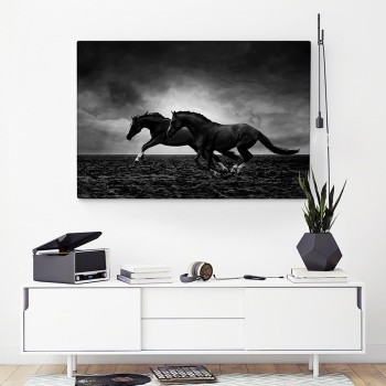 Canvastaulu Horses in freedom