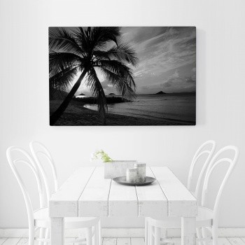 Canvastaulu Palm in backlight