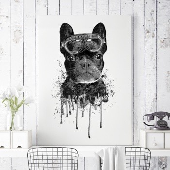 Canvastaulu Aeronaut