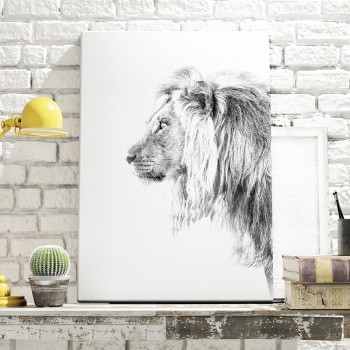 Canvastavla Male lion in profile-0