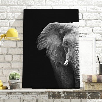 Canvastavla Elephant photograph-0
