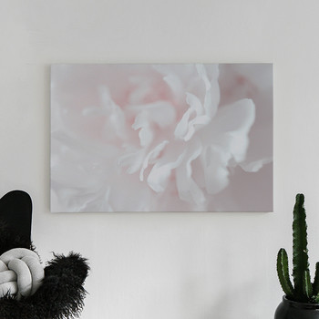 Canvastaulu Pink flower Three