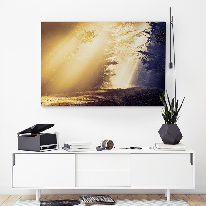 Canvastavla Forest Glade in backlight