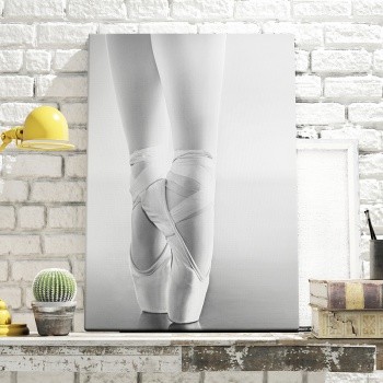 Canvastavla Ballet shoes-0
