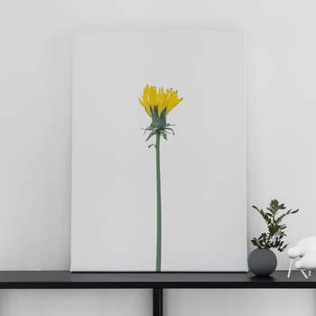 Canvastaulu Dandelion