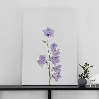 Canvastaulu Bluebell