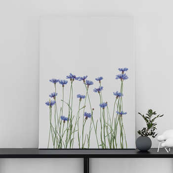 Canvastaulu Cornflowers