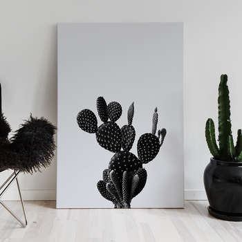 Black cactus 1