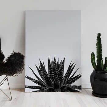Canvastaulu Black cactus 3