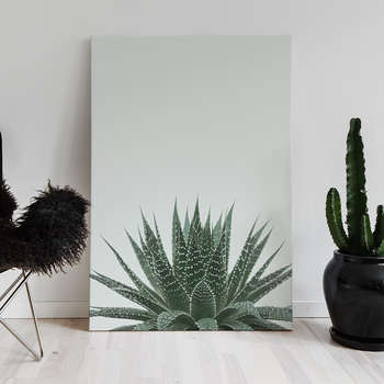 Canvastaulu Green cactus 3