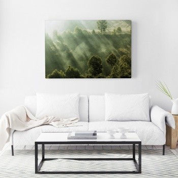 Canvastavla Forest landscape-0