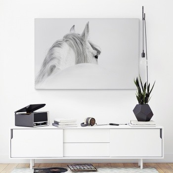 Canvastaulu White horse [2]