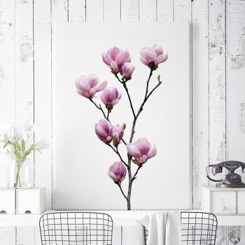 Pink Magnolia