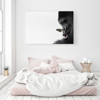 The Gorilla and the Butterfly