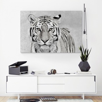 Canvastaulu Siberian Tiger