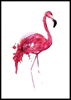 Flamingo two
