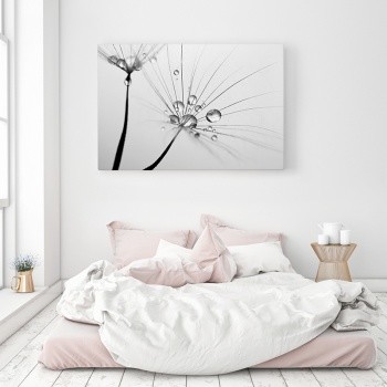 Canvastaulu Dandelion with dew drops