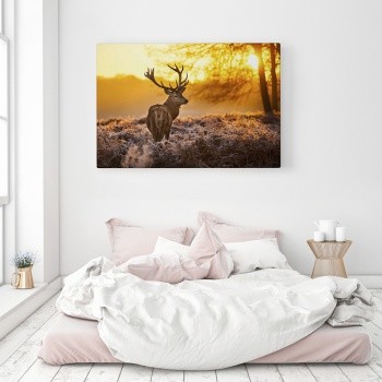 Canvastaulu Deer in nature
